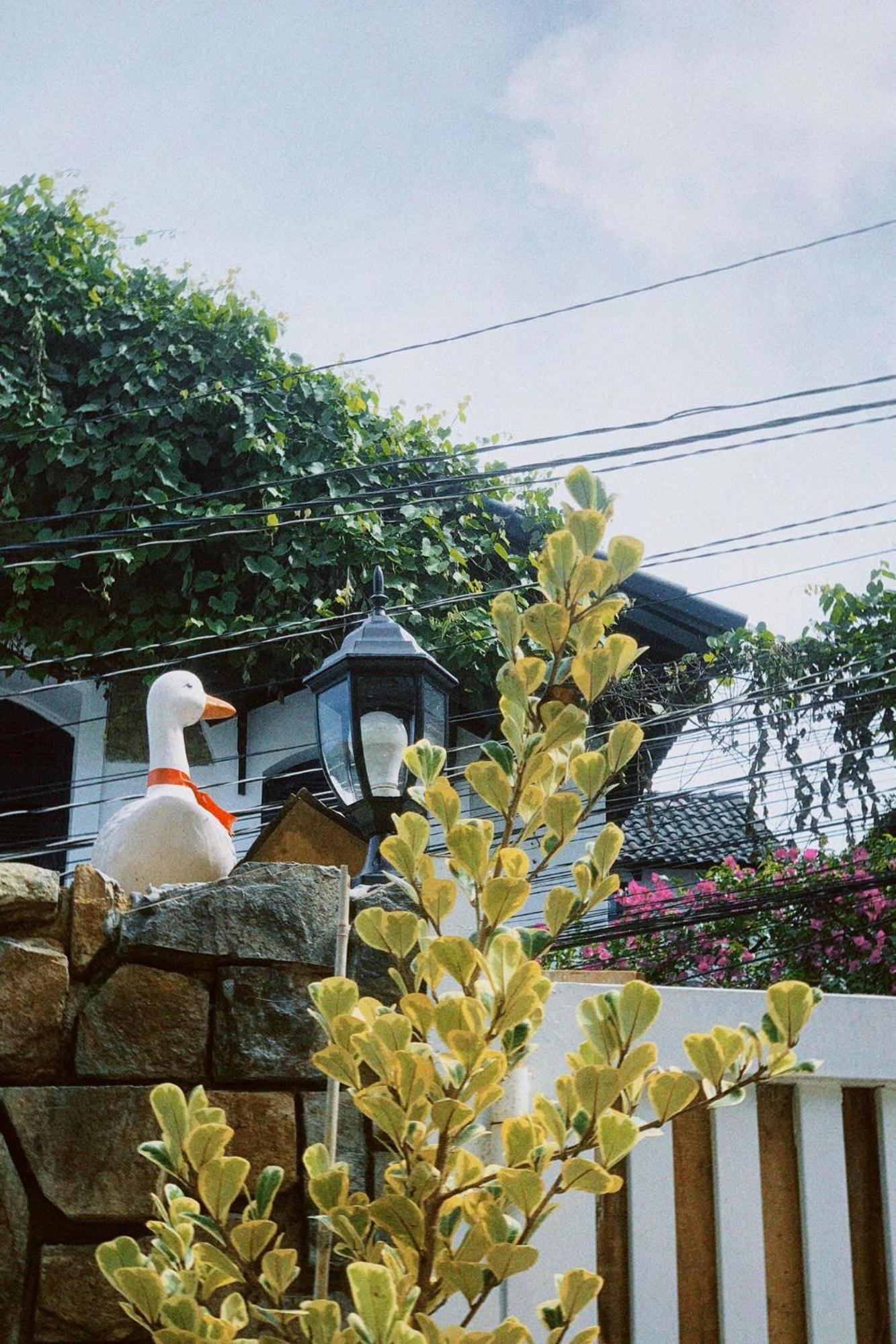 Chai Nho Homestay Dalat Exteriör bild